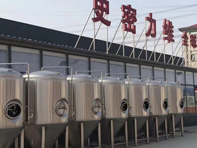临海精酿啤酒设备厂—市场规模与跨界新需求